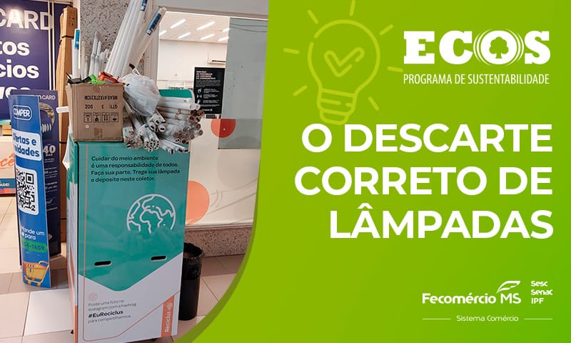 Descarte correto de lâmpadas