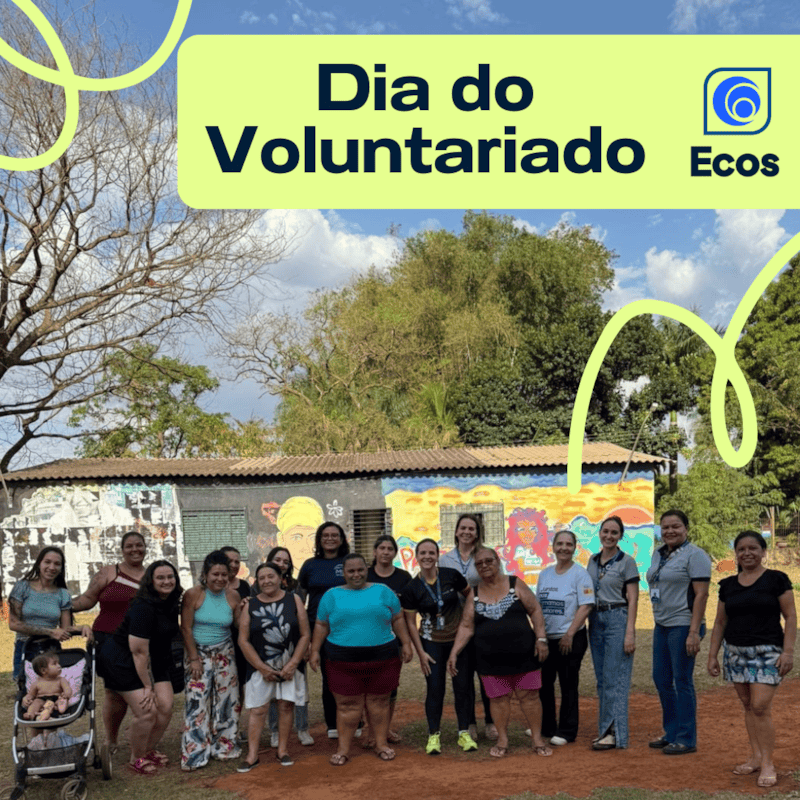Dia do Voluntariado 2025